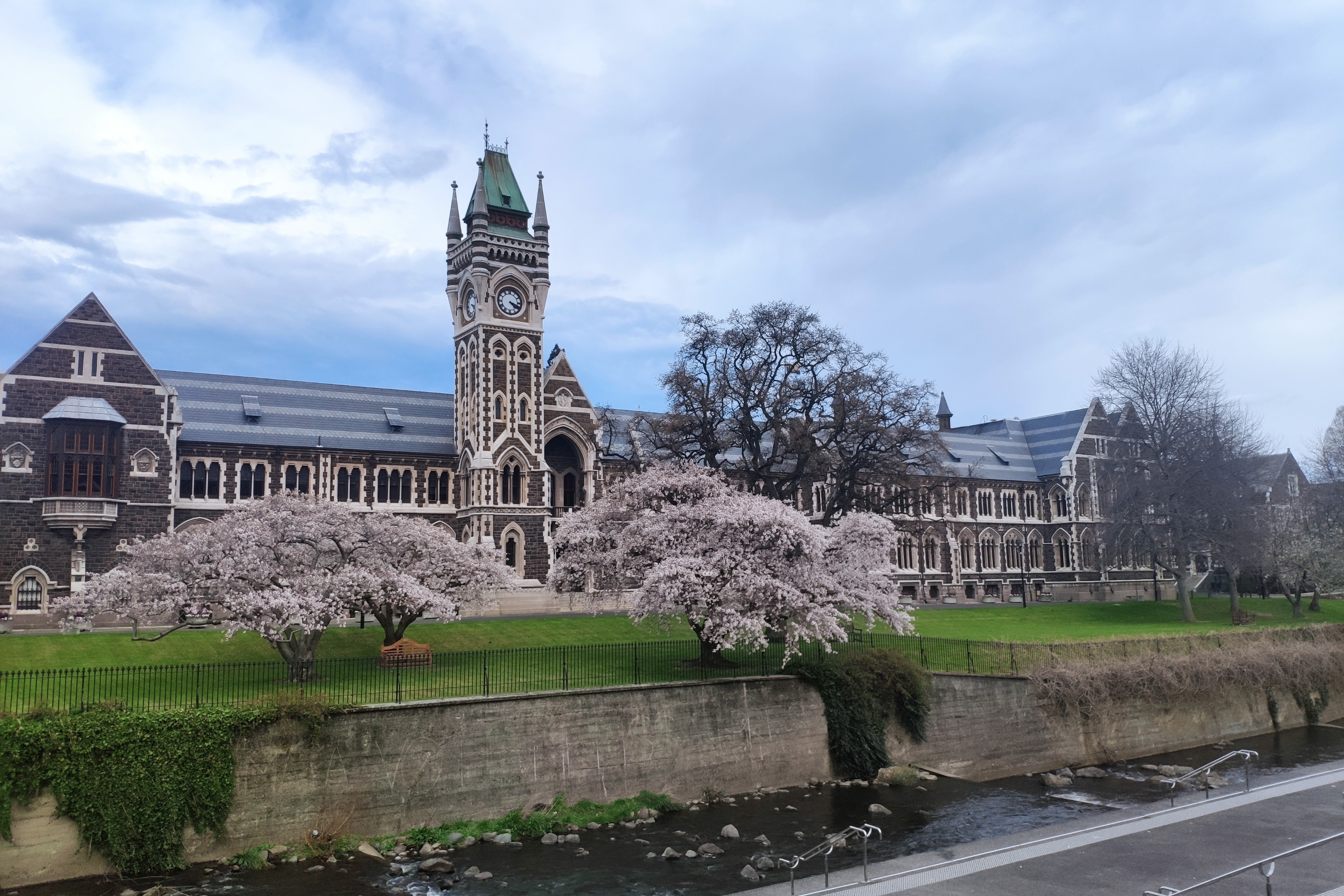 Dunedin Mainland Peninsula Tour