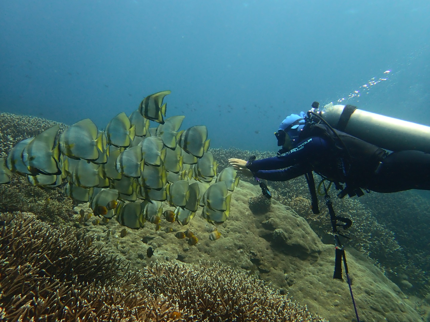 巴厘島PADI開放水域潛水課程（Bali Aqua Dive提供）