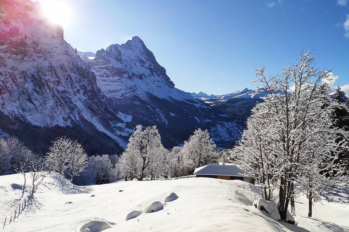 格林德瓦韋特峯雪鞋徒步之旅（因特拉肯出發）