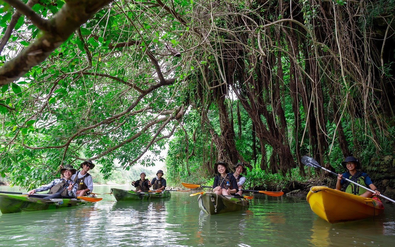 Mangrove Kayak Tour in Hijya River