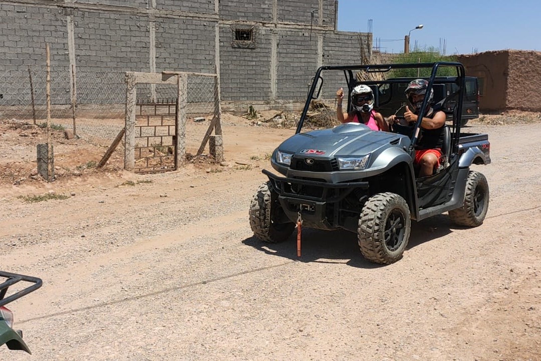 Palm Grove Buggy Ride Adventure in Marrakech