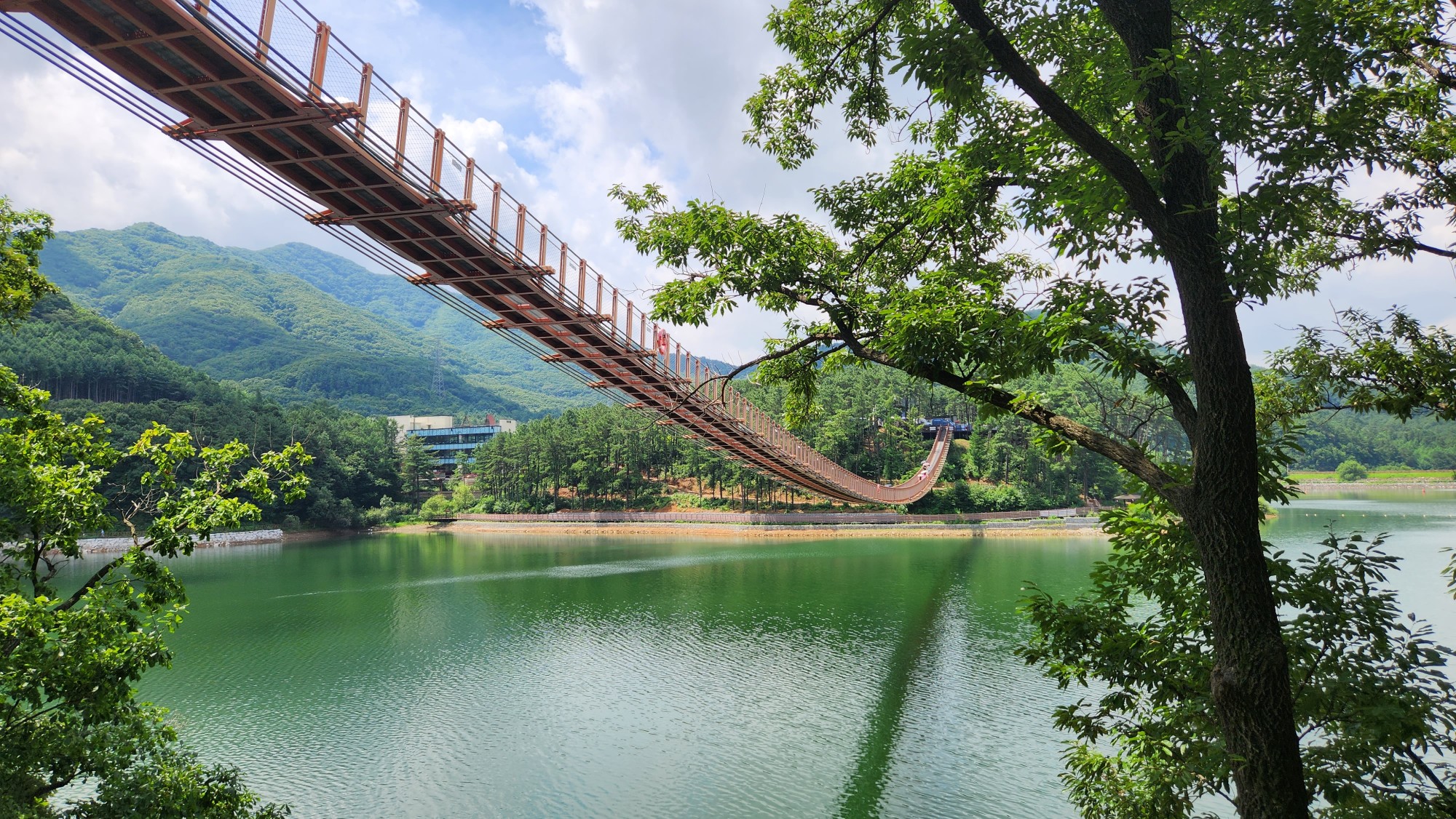 坡州山葡萄農園 & Malddong Donut咖啡廳 & 坡州名牌折扣購物中心一日遊