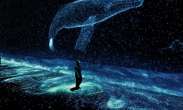 體驗 ARTE MUSEUM 享譽全球的經典數位藝術作品，並欣賞以江陵海岸環境 為靈感重新演繹的限定主題展區，無論是藝術愛好者或首次造訪者都能深受感動。