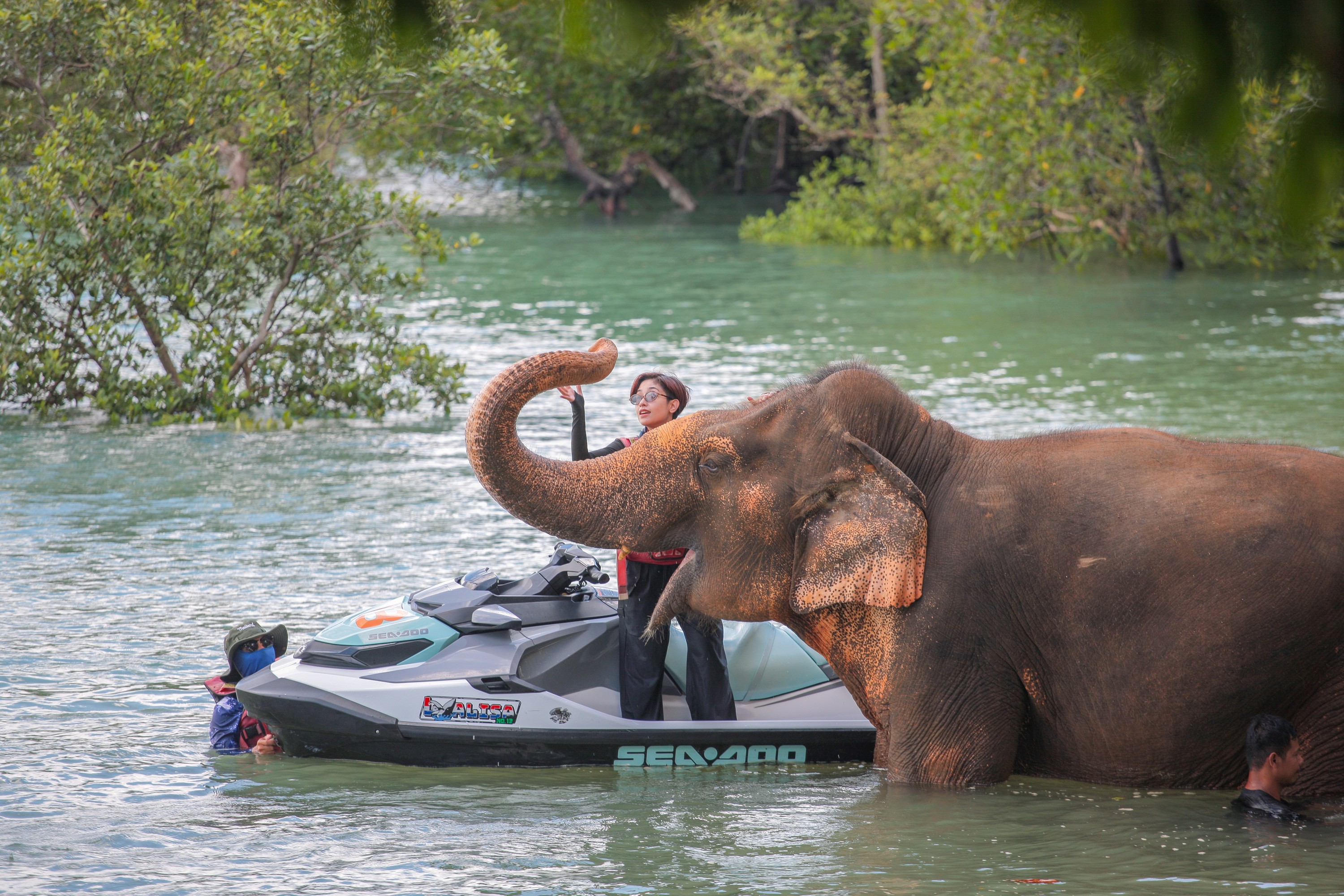 Phuket Jet Ski 2h Tour with Elephant Care Camp