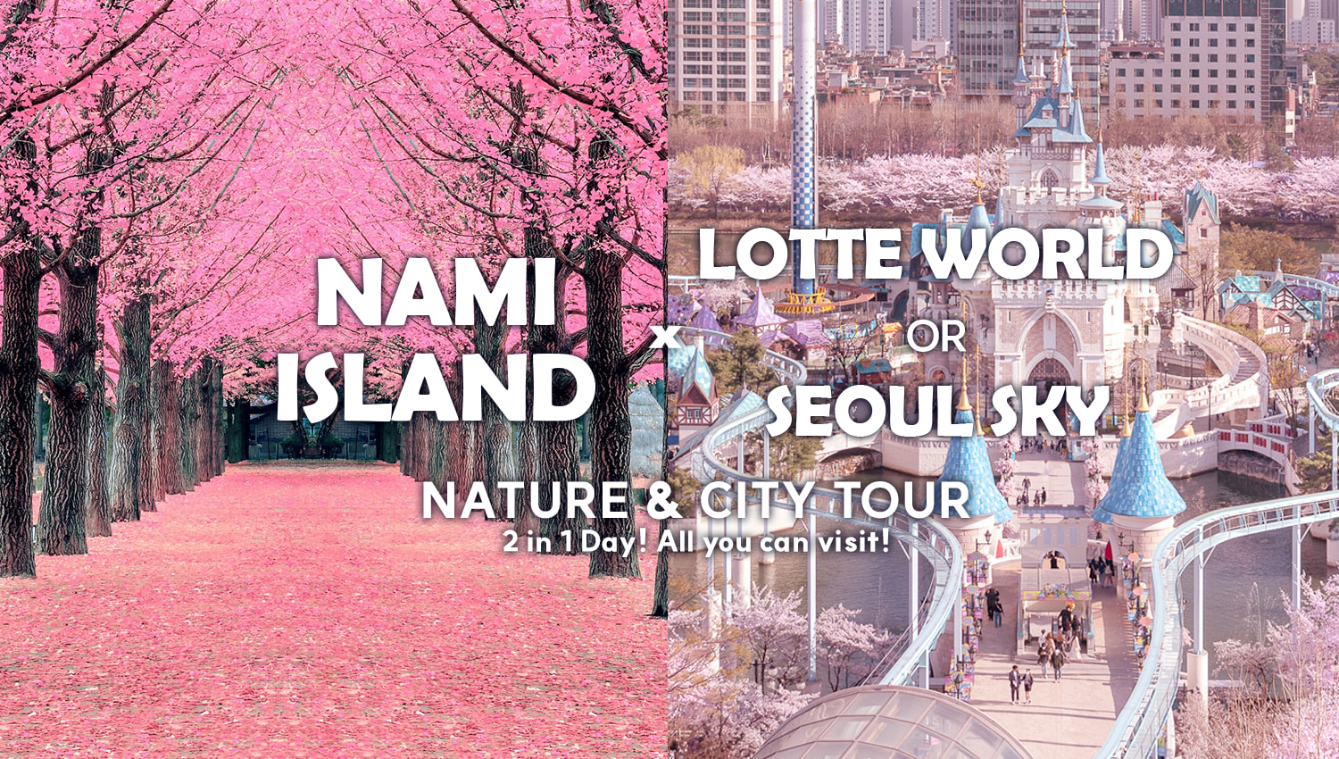 Nami Island and Lotte world (or Seoul) Sky Day Tour