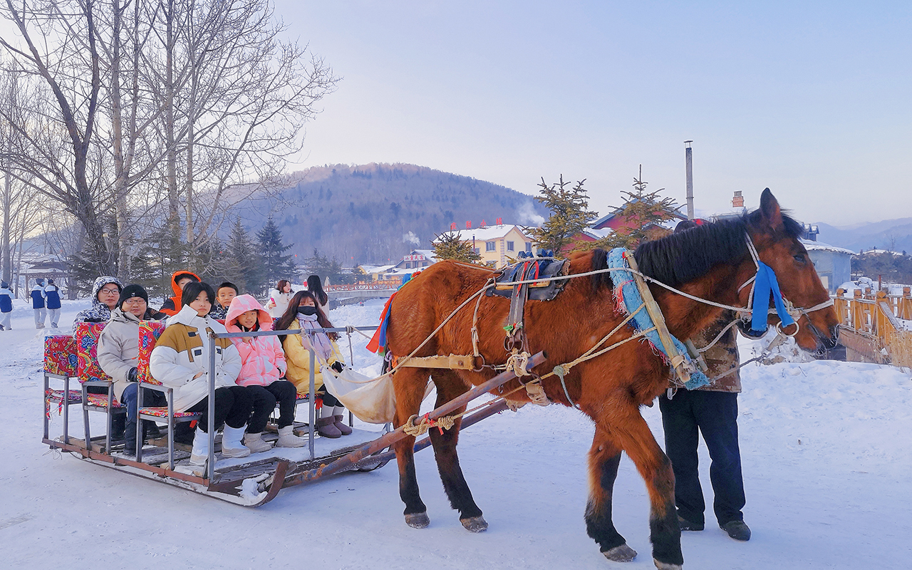 D2 哈爾濱-亞雪公路-馬拉爬犁-雪鄉（320km，車程約6小時）
早餐後出發。（旺季改為6：30出發，避開堵車早高峰，早餐打包）
中餐AA或自行解決。途徑【亞雪公路】，隨著一路上升的盤山公路，向你展開的是一幅幅美如仙境的冰雪畫卷。 適時體驗東北最原始的土豪交通工具-【馬拉爬犁，12月1日-2月21日贈送】。