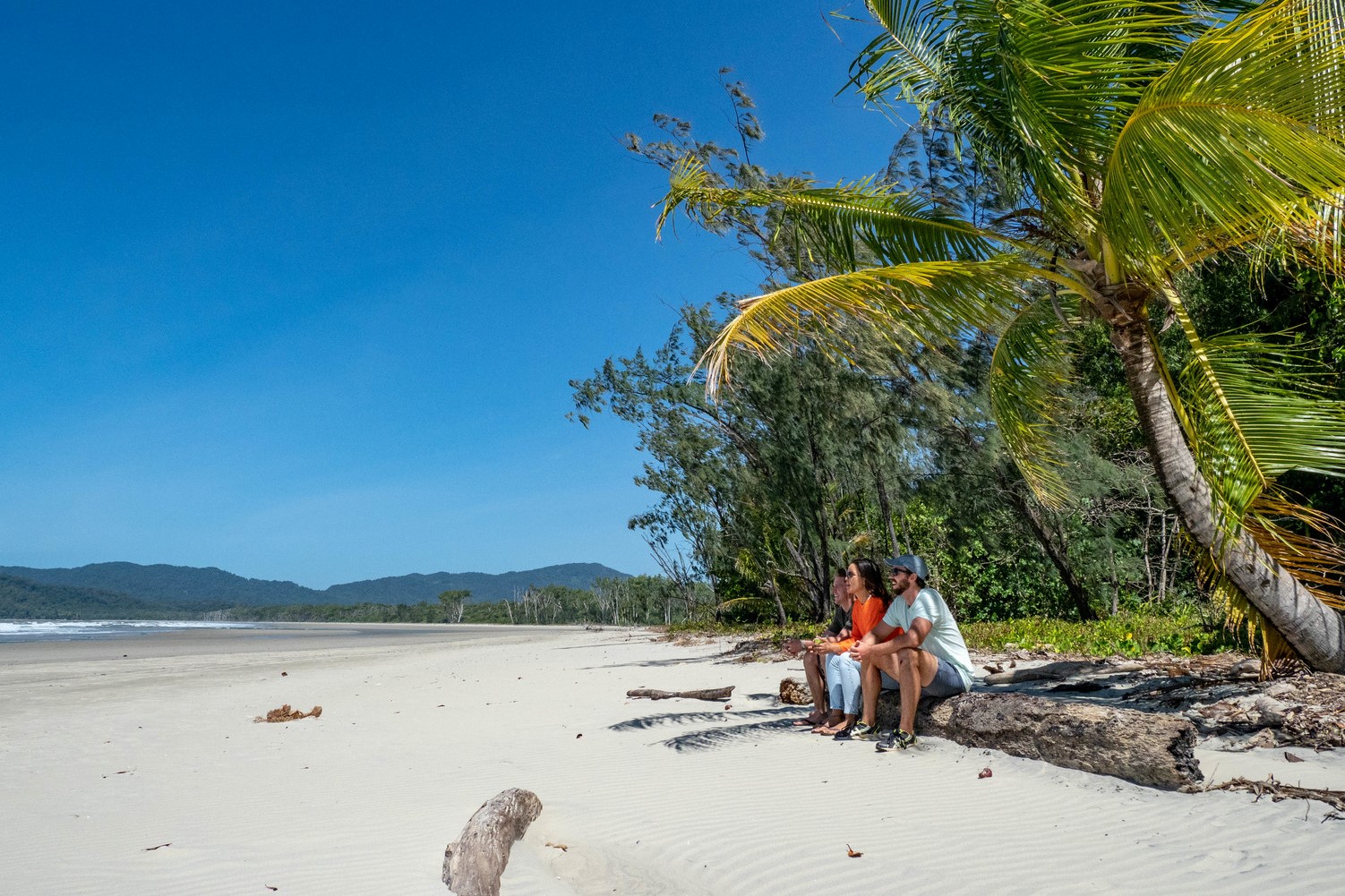 Daintree Rainforest Day Tour From Port Douglas