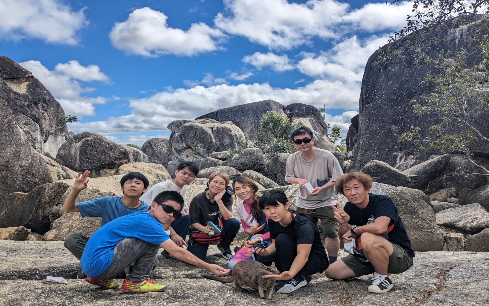 Cairns Half-Day Wildlife & Nature Tour