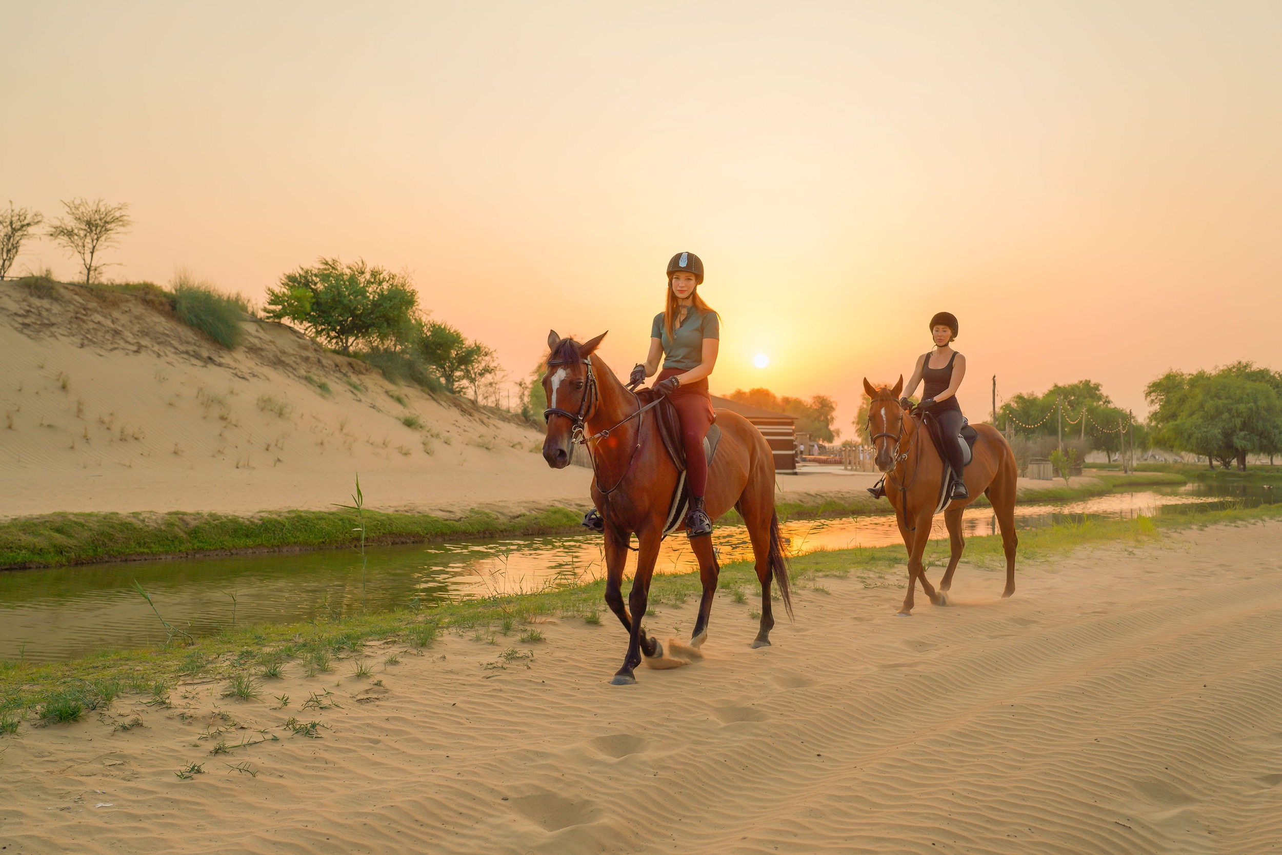 Dubai: Horse Riding Experience with Snack at Al Marmoom Oasis