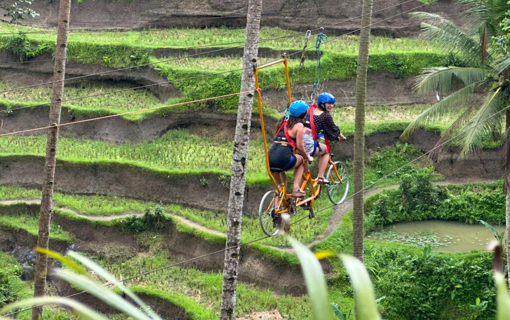 峇里島烏布滑索＆空中腳踏車體驗