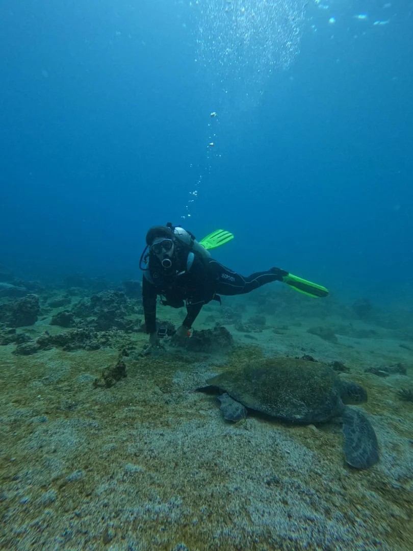 Embark on your open water diver course in the Galapagos, surrounded by stunning landscapes and diverse marine life.
