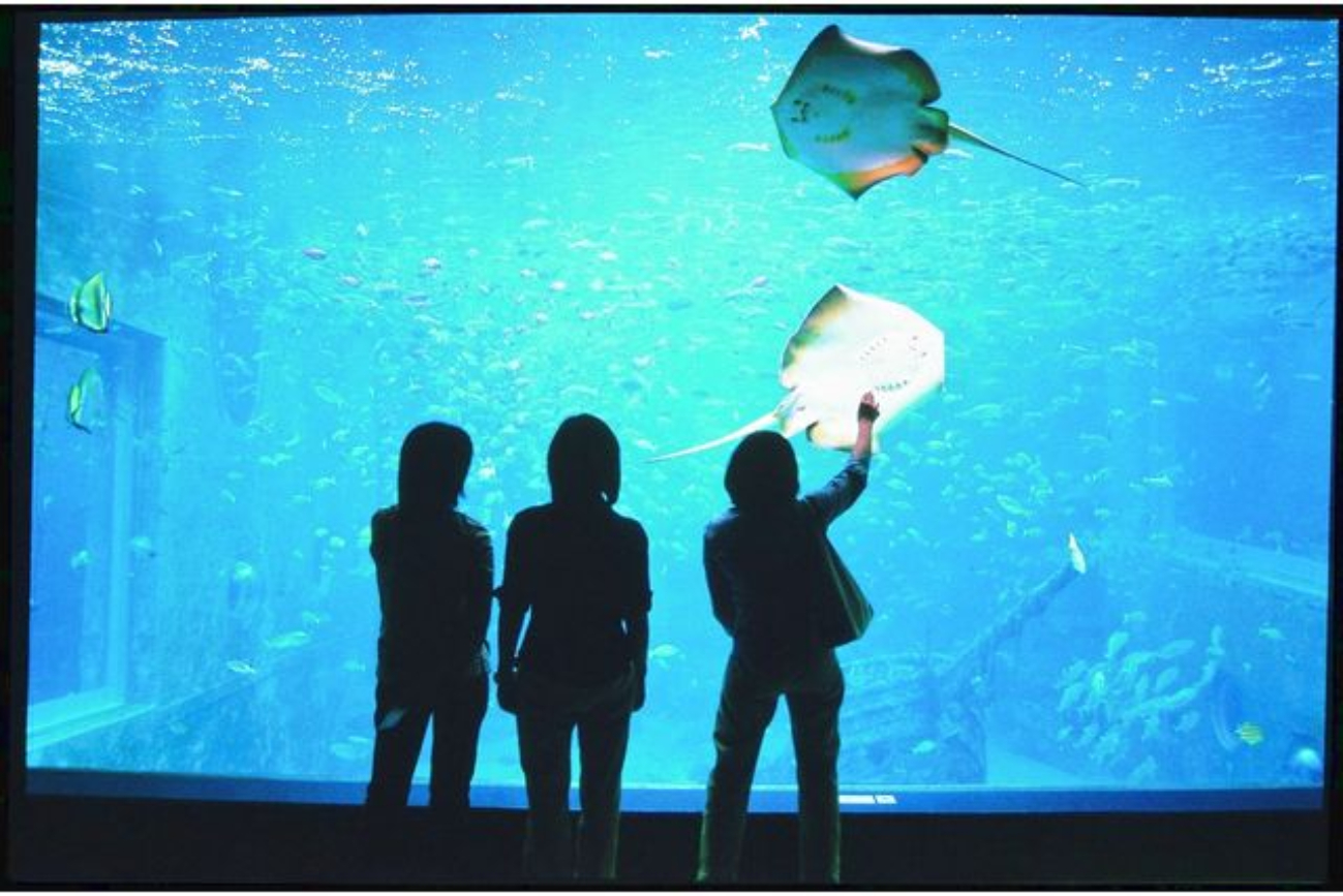 箱根園水族館門票