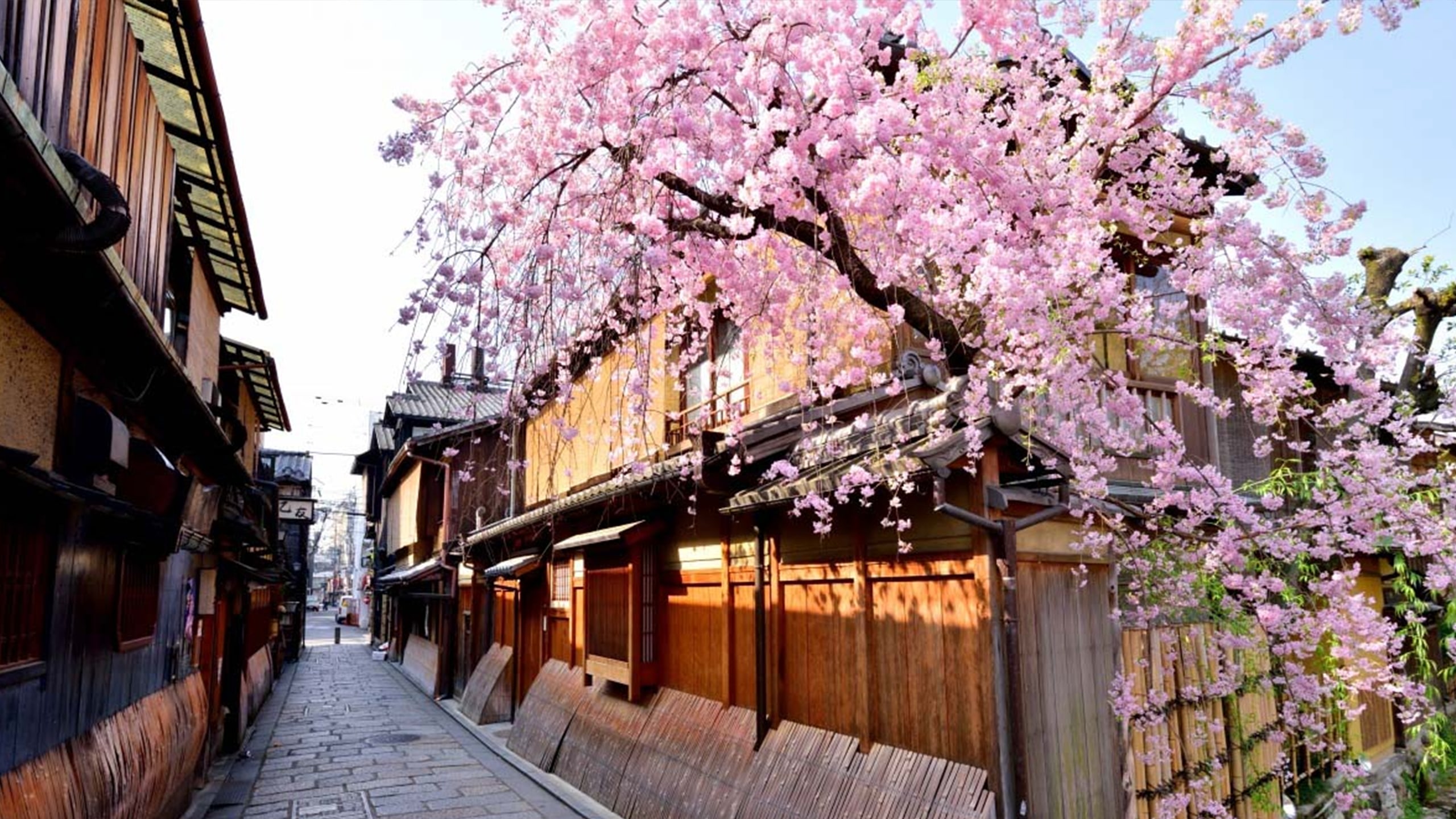 京都：藝伎與祇園歷史徒步之旅