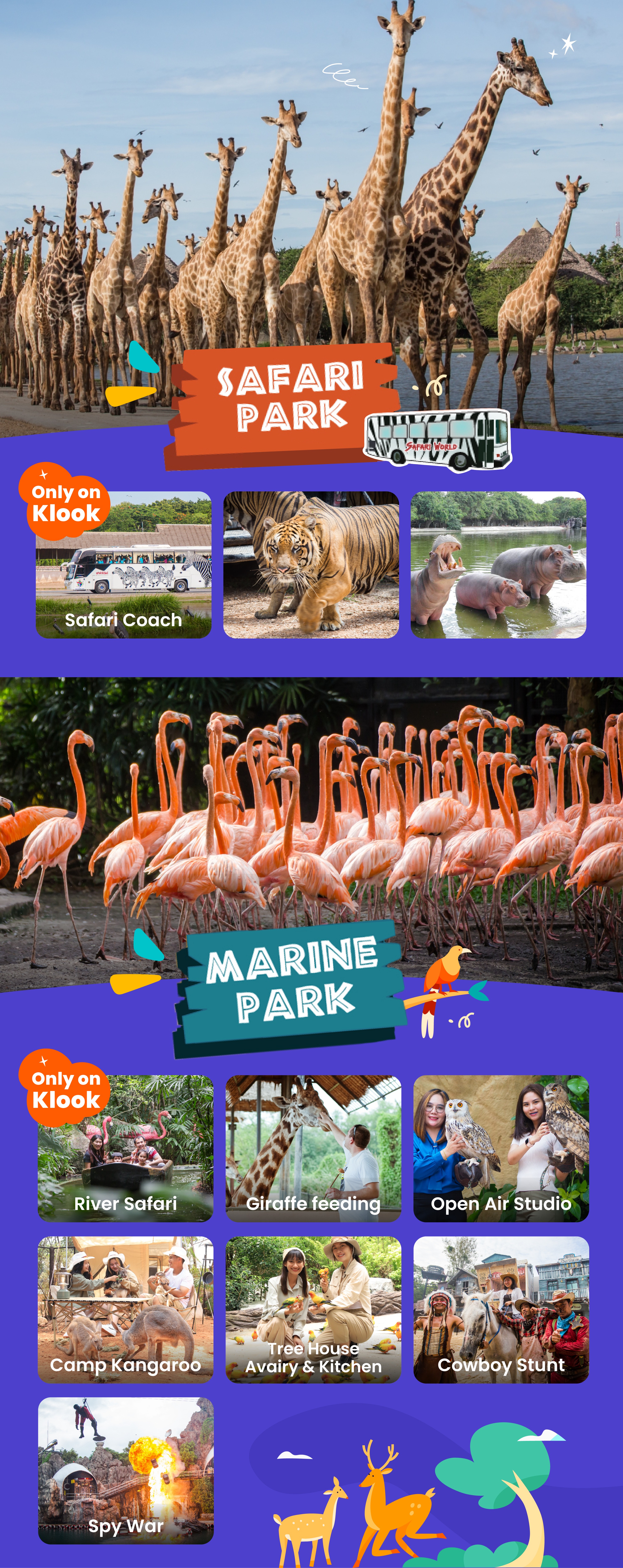 曼谷賽佛瑞野生動物園共乘／包車接送