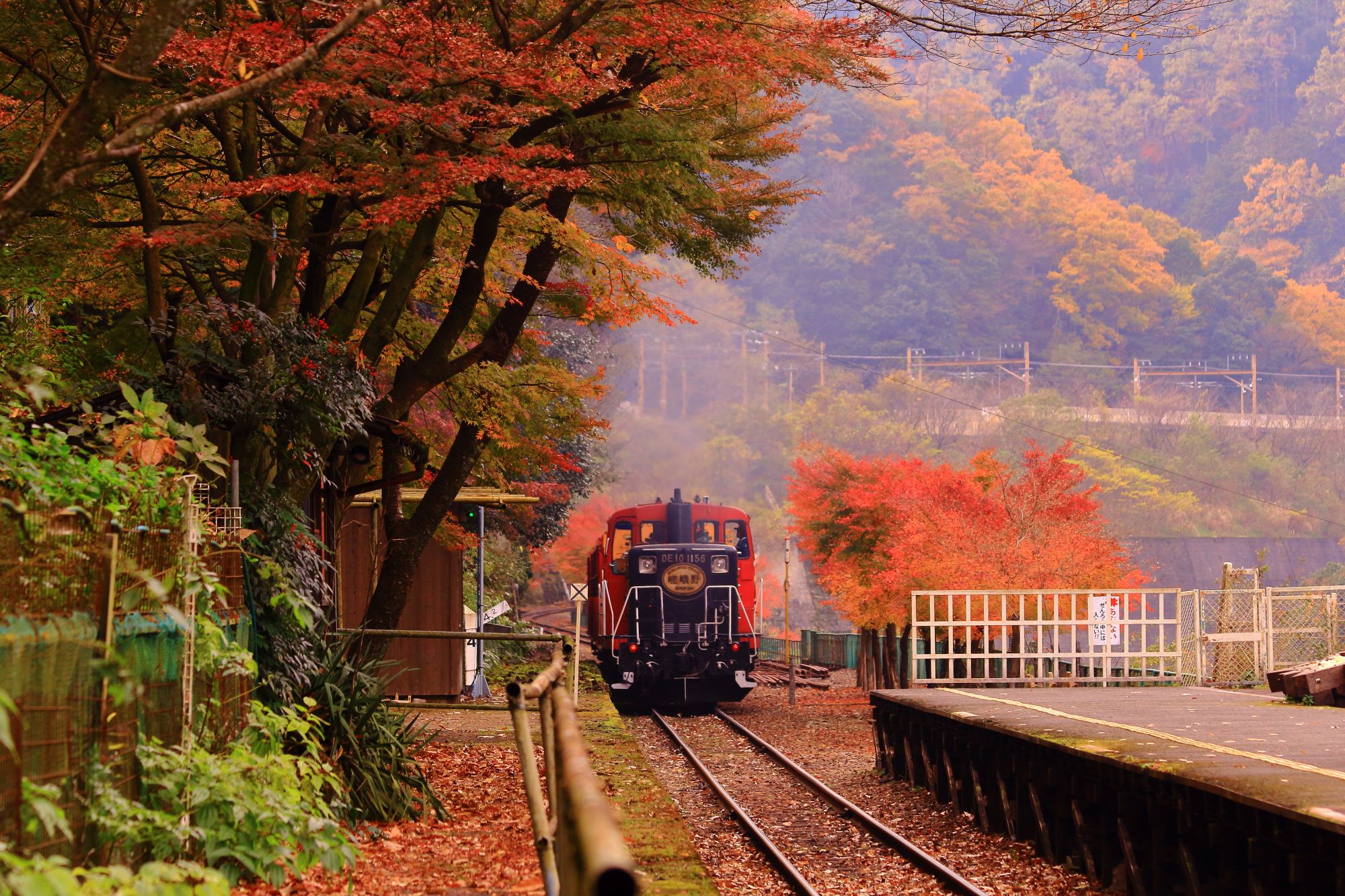 嵯峨野遊覽小火車