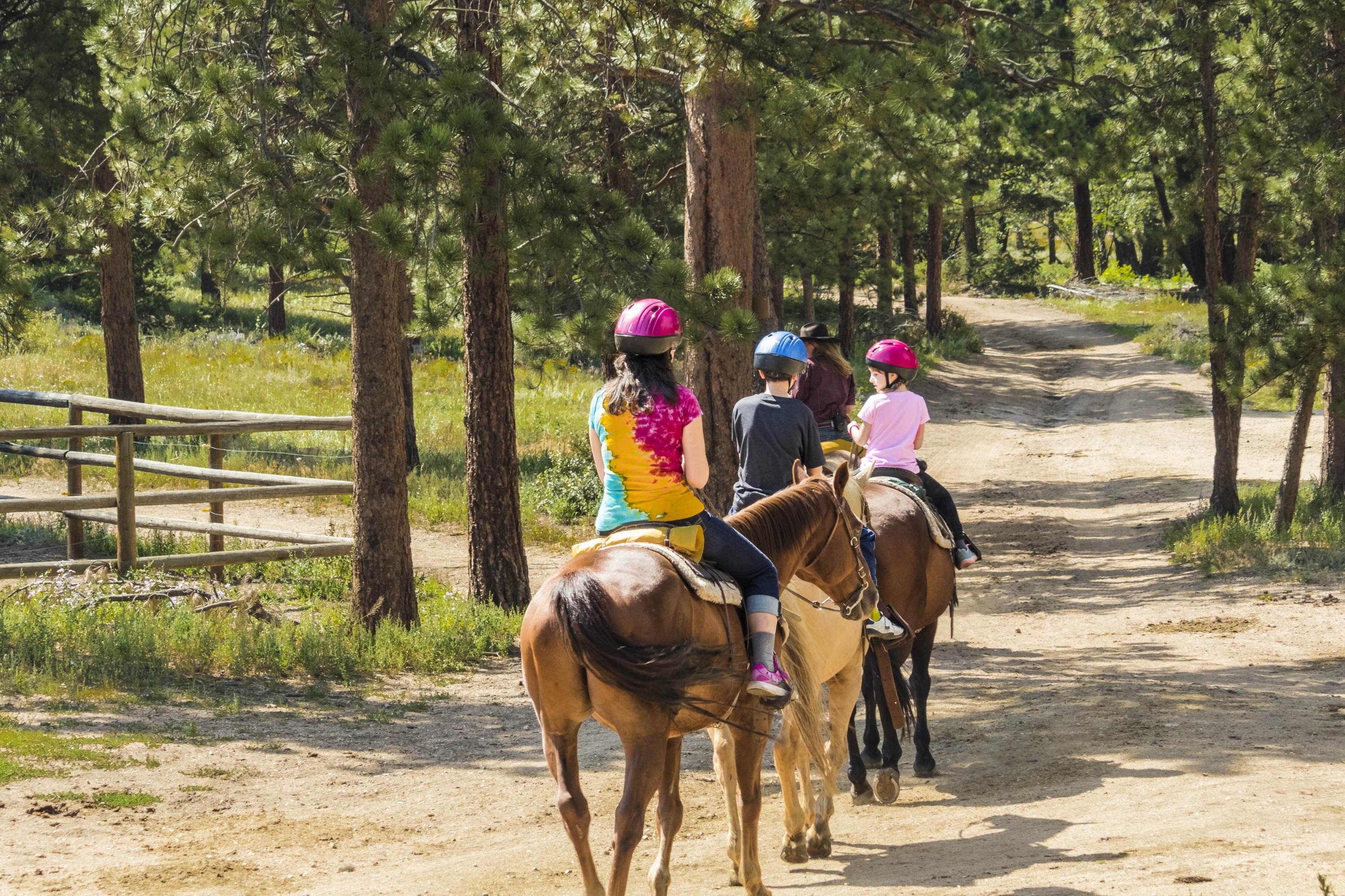 guided horseback riding experience