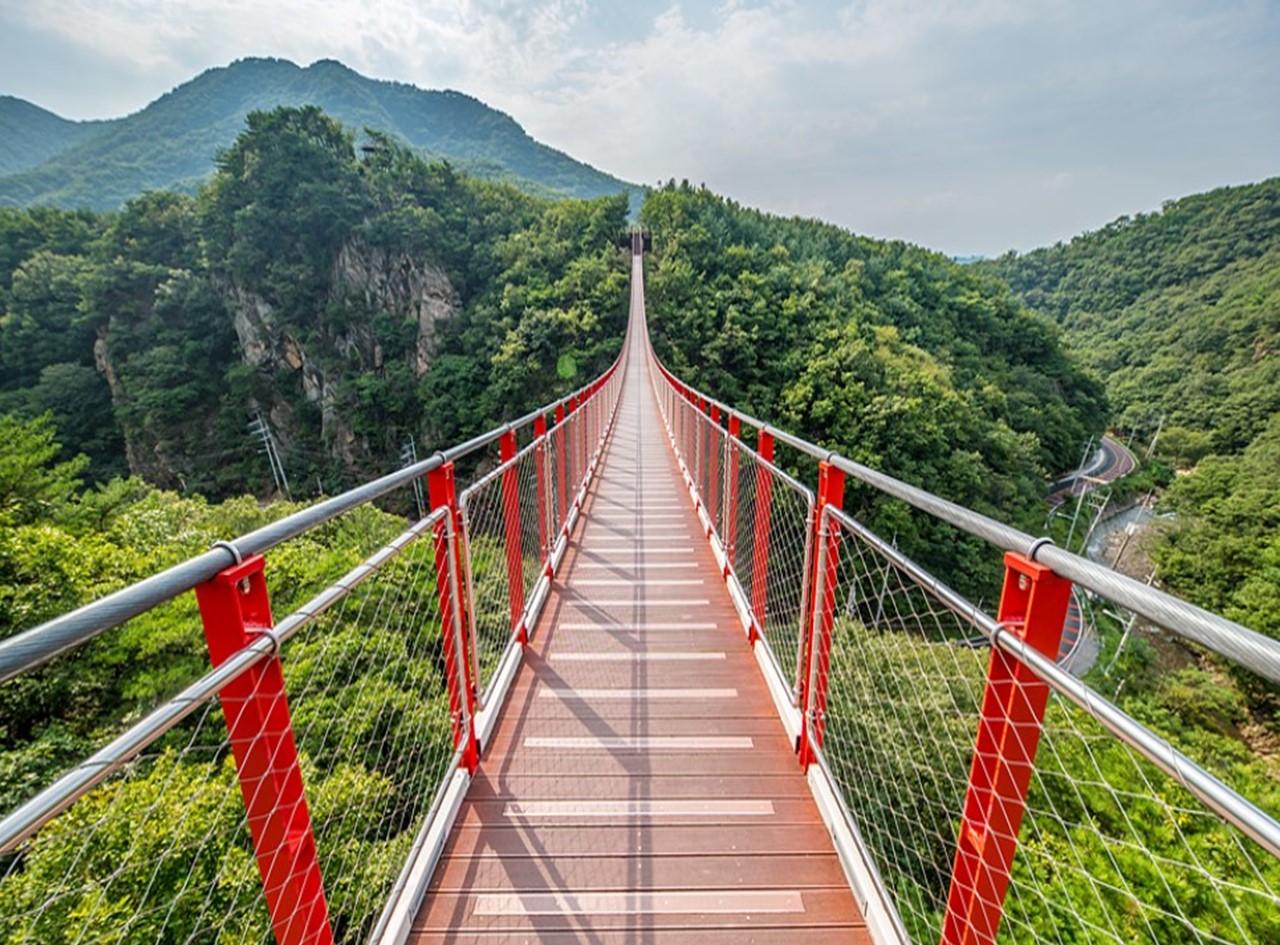 DMZ Adventure: Suspension Bridge, Boat Voyage Day Tour from Seoul