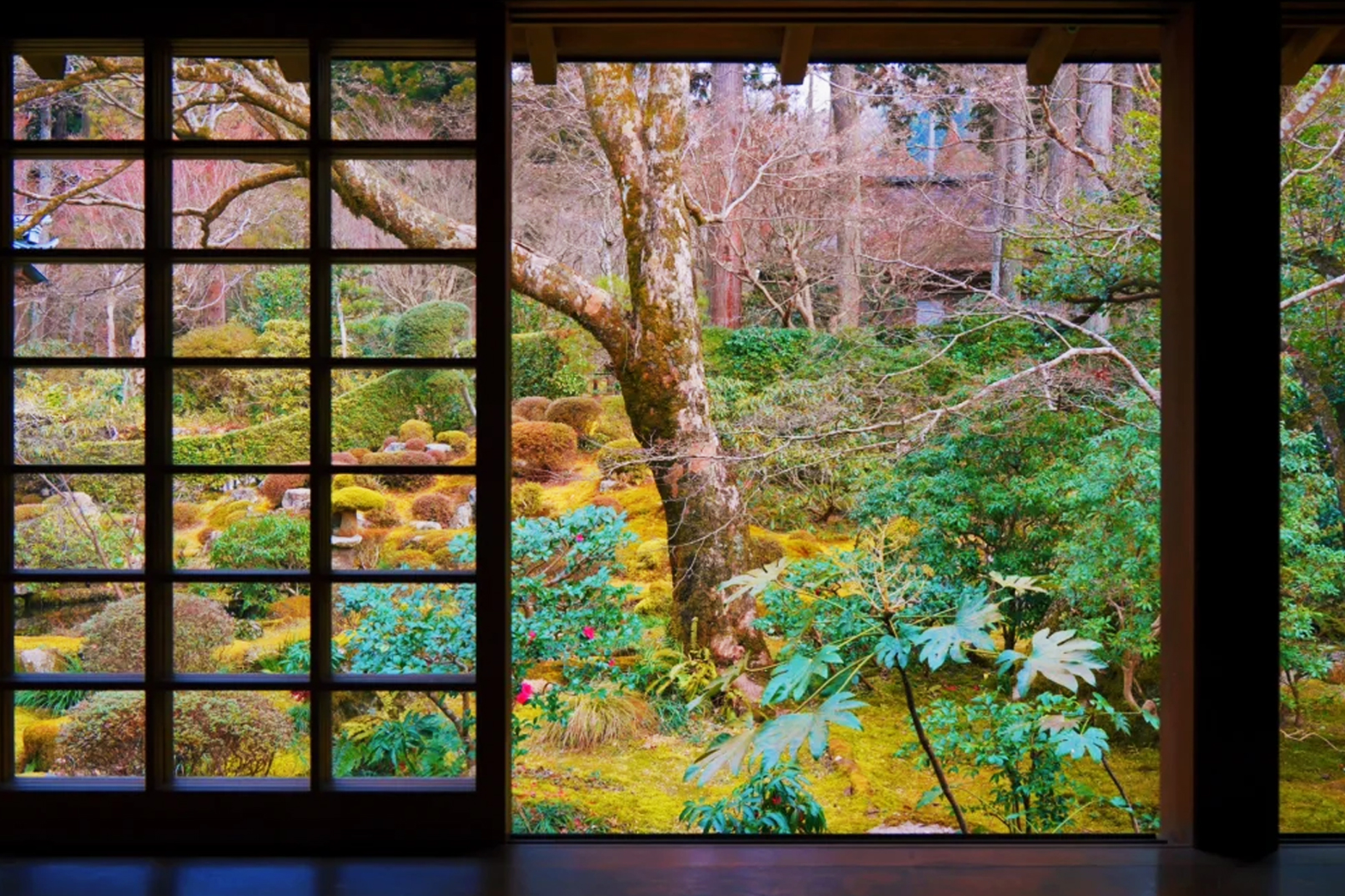 京都一日遊|貴船神社&嵐山竹林小徑&三千院｜漫步京都｜4人成團（大阪/京都出發）