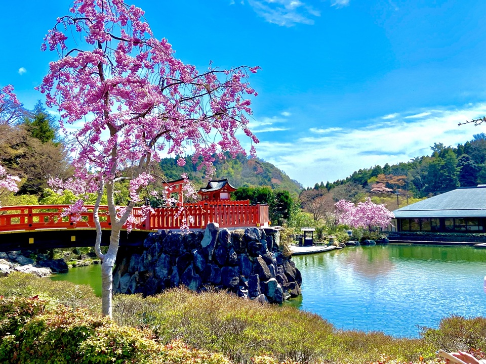 Kansai popular attractions Osaka Katsuoji Temple, Kyoto Arashiyama, Uji Byodoin Temple one-day tour | Optional exclusive A5 premium Kobe beef (depart from Osaka)