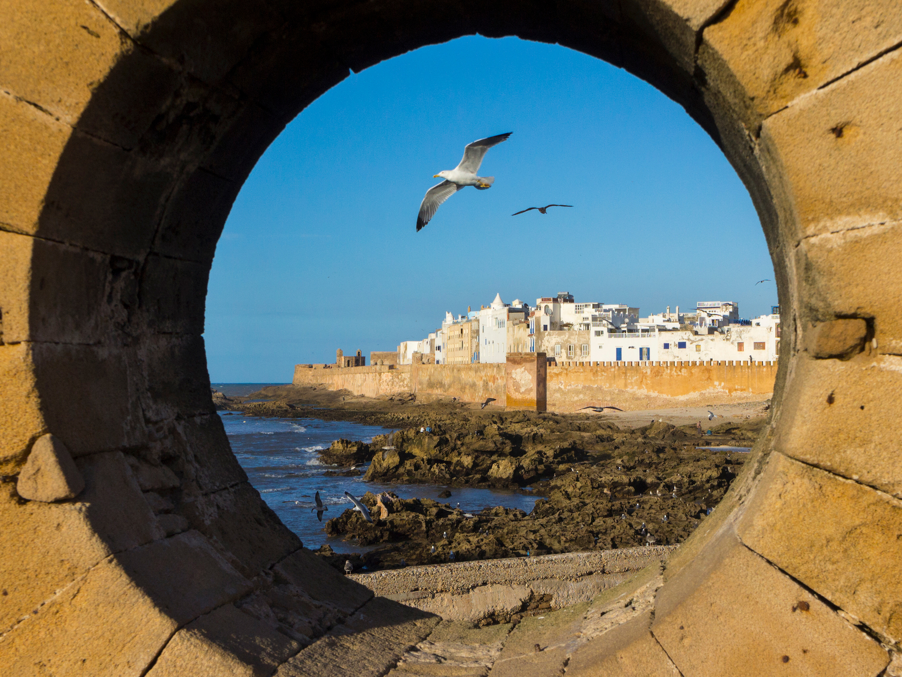 Morocco Deluxe Exploration : 13-Day Morocco Imperial Cities & Desert