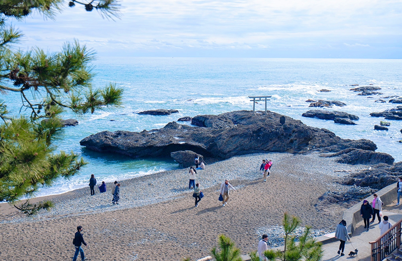 There are many kinds of seafood in the market, such as abalone, prawns, scallops, etc., each of which is mouth-watering.