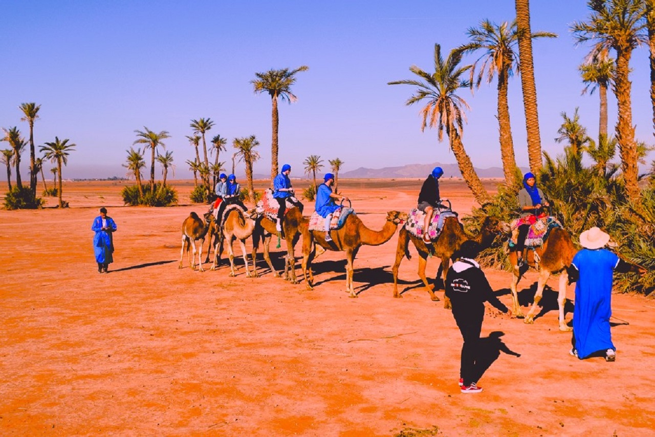 Quad Biking and Camel Ride from Marrakech