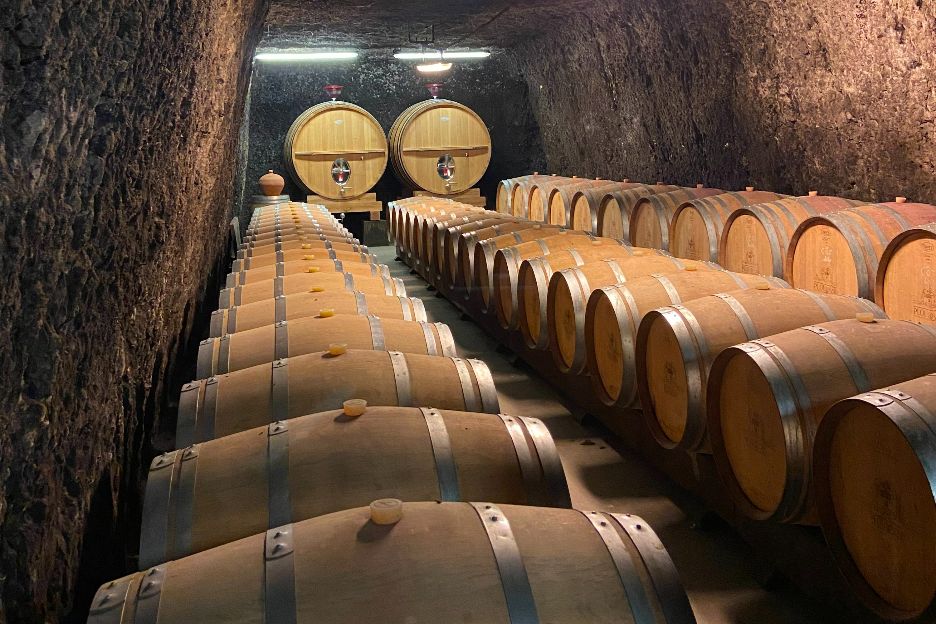 Loire Castles Day Trip and Wine Tasting Private trip from Paris