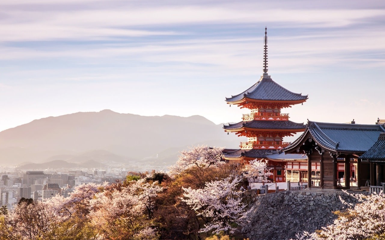 [1 Person Group] Meet adorable deer, stroll through ancient capitals: Kyoto, Nara, Osaka Kansai classic panoramic one-day tour