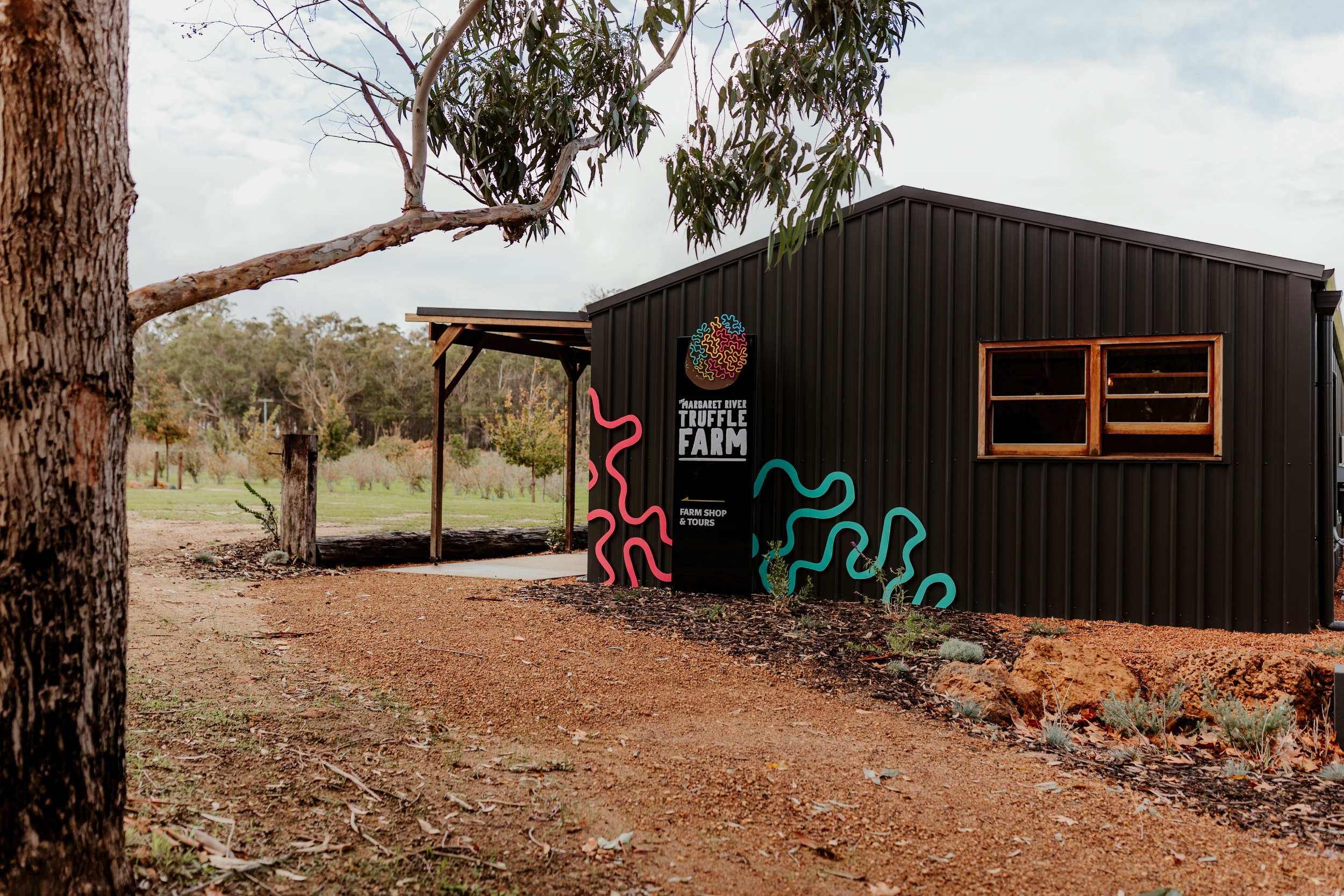 探索瑪格麗特河松露之旅 (Dig Deep - Margaret River Truffle Hunt Experience)