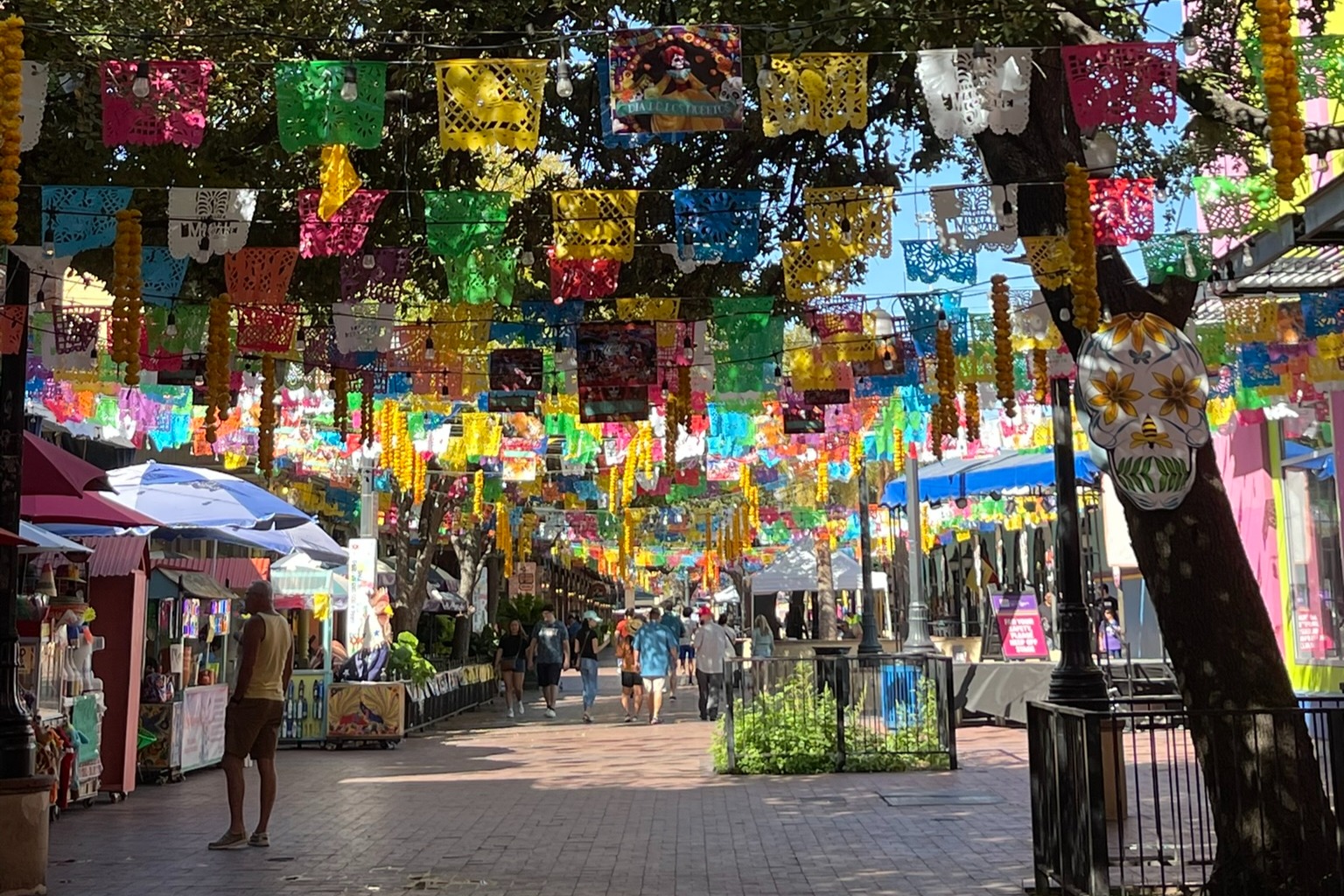 乘坐老城電車,享受全程解說之旅,探索標誌性的阿拉莫 乘坐老城電車,享受全程解說之旅,探索標誌性的阿拉莫