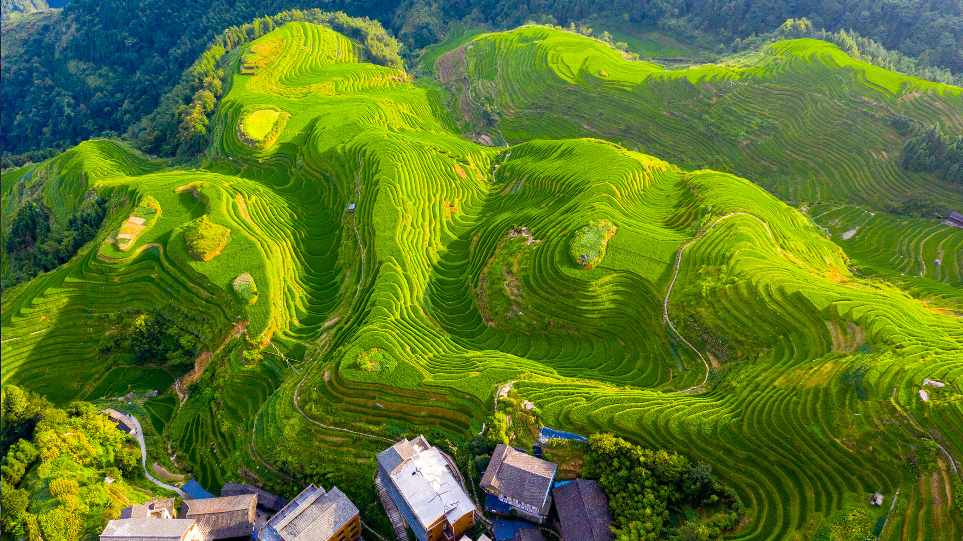 桂林灕江三星遊船.蘆笛巖.象鼻山.陽朔遇龍河.龍脊梯田.4日私家團