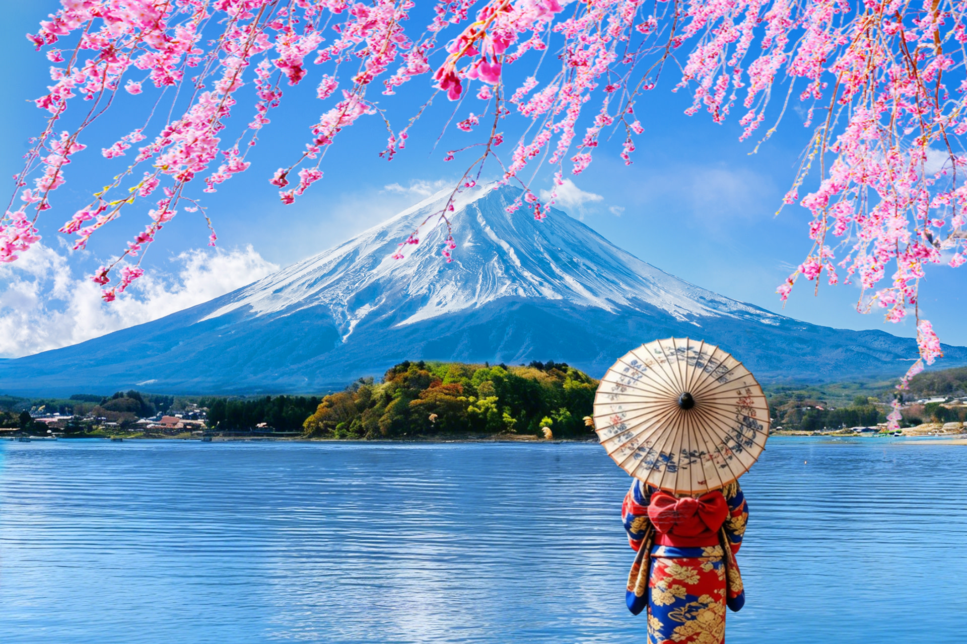 【후지산 인기 명소】 후지산 아래 인싸 공원 & 닛카와 시계점 & 로손 편의점 & 오시노핫카이 & 오이시 공원 일일 투어 (도쿄역 또는 신주쿠역 출발)