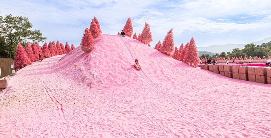 Pocheon Pink Sand(herb Island)