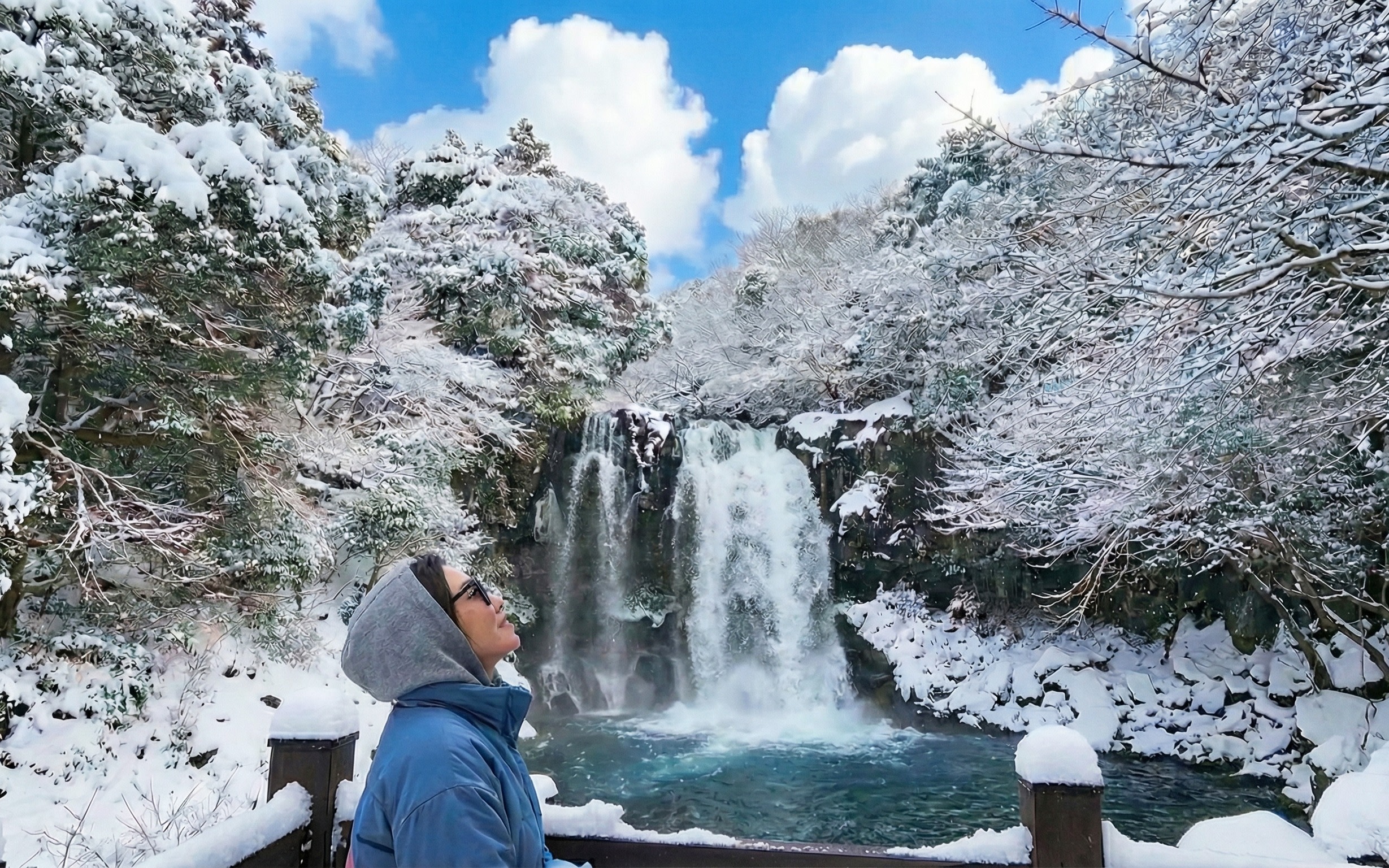 Best Jeju Explorer - Views, Nature & Tangerine Farm Experiences 