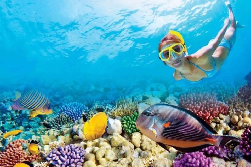 Marsa Alam: Hamata Islands Snorkeling Trip with Lunch