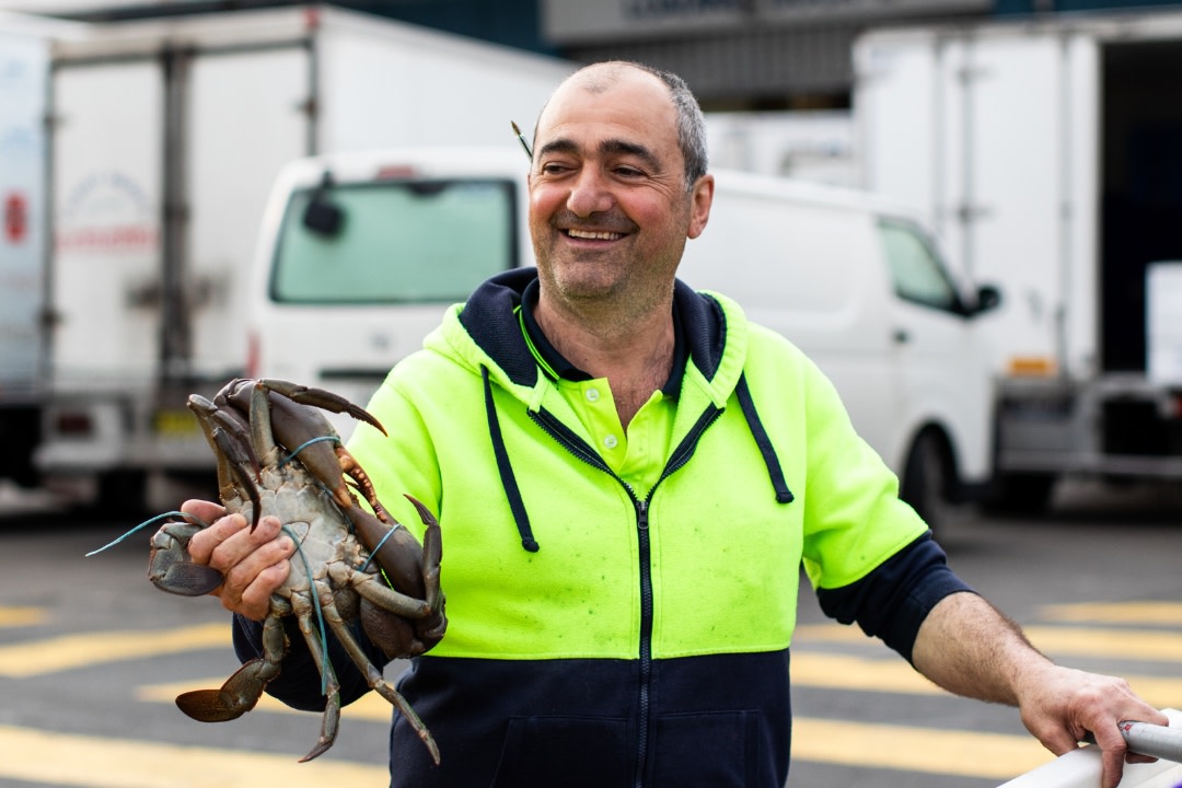參加早晨徒步之旅，探索雪梨魚市內的隱藏瑰寶
