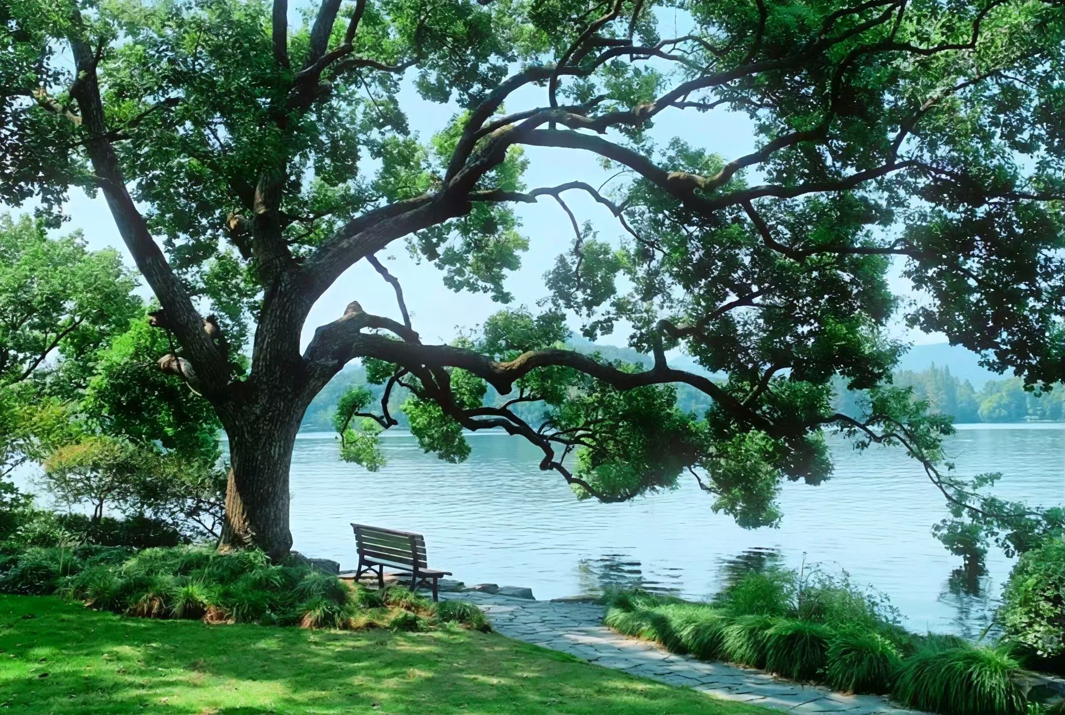 漫步蘇堤，感受兩旁的湖光山色與拂面的微風，寧靜又愜意。