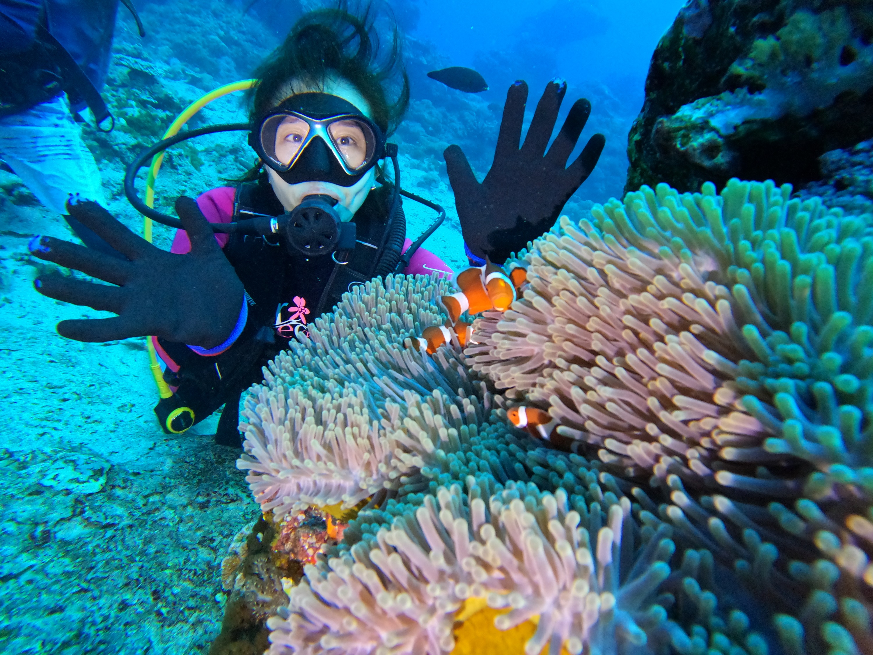 Taitung Green Island: Fun Under the Sea SDI Open Water Scuba Diver Course