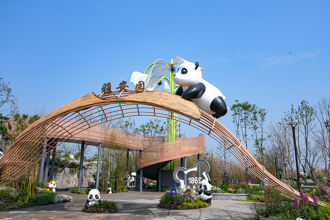 成都出發都雅安碧峰峽熊貓基地 志願者體驗 私家團一日遊