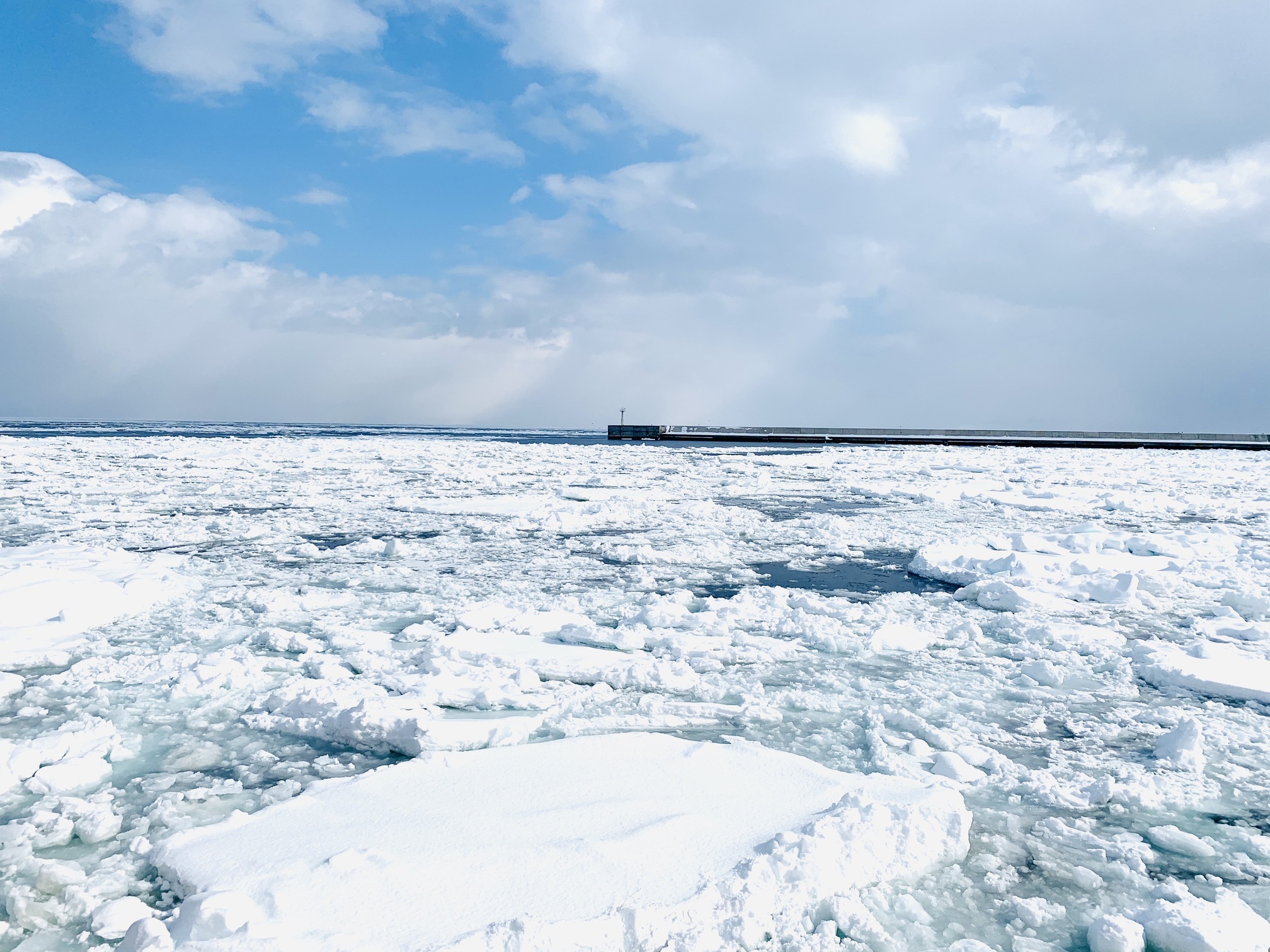 紋別鄂霍次克海流冰 紋別鄂霍次克海流冰
