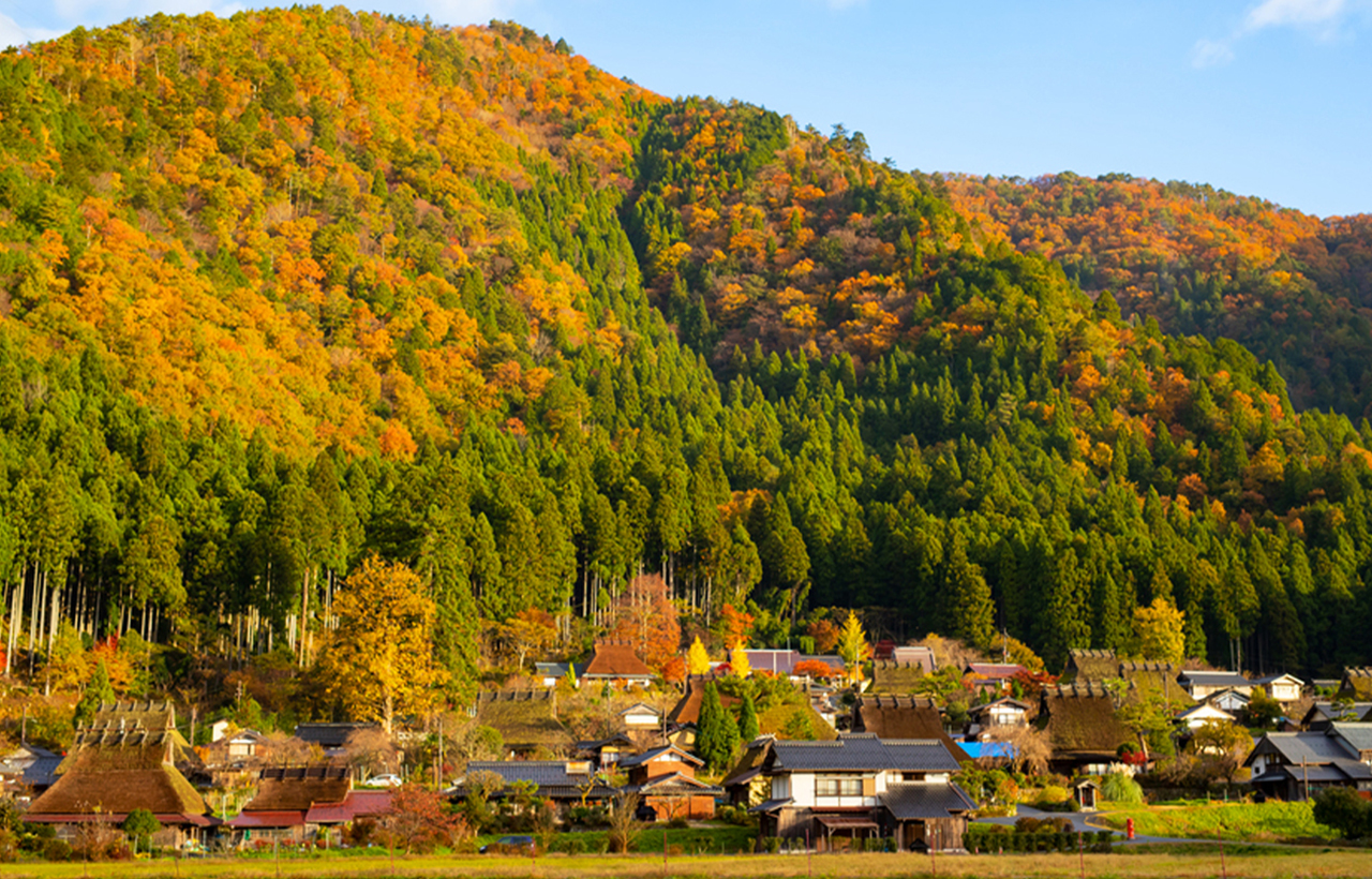 [Kyoto's Secret Gassho Village] Visit the Thatched Houses of Miyama Gassho Village + Amanohashidate Spectacular View + Ine Funaya Fishing Port + Funaya Days (Departing from Osaka)