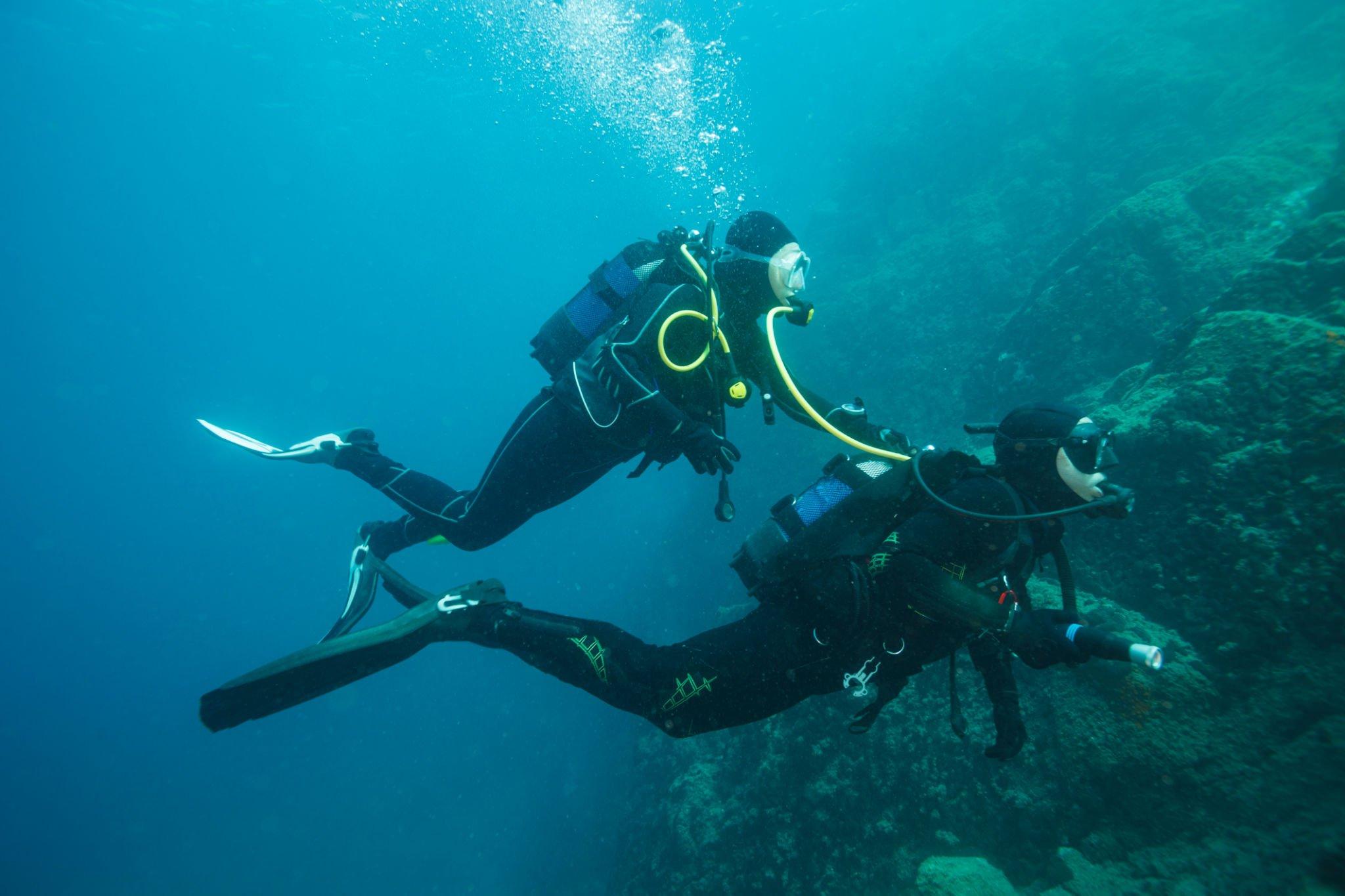 紅海潛水體驗（含午餐和接送） - 埃及沙姆沙伊赫