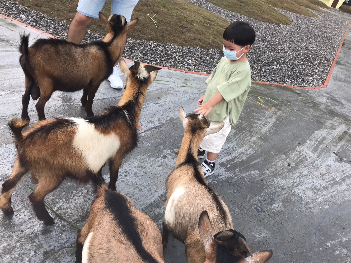 Changpi Lake Elf Village Cute Animal Area