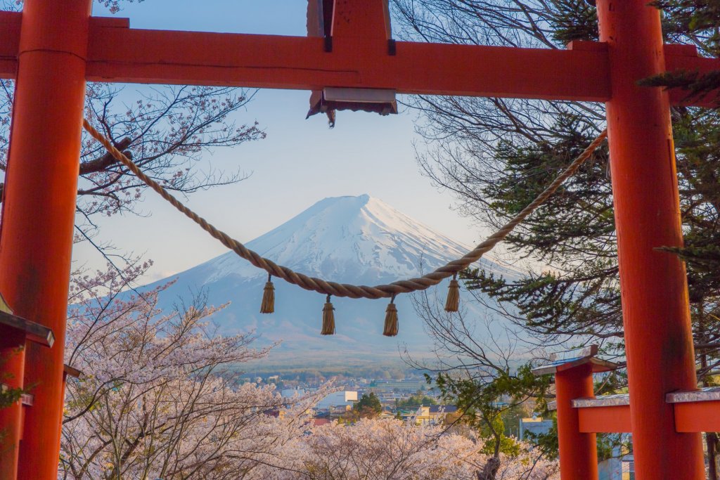 富士山壯麗美景或芝櫻節浪漫花海一日遊 （東京出發）