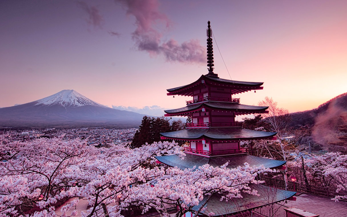 Tokyo Mount Fuji & 5 Scenic Spots Full-Day Sightseeing Tour