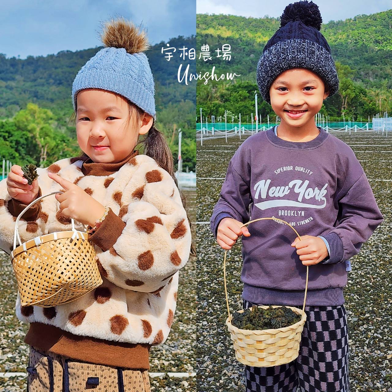 Tricholoma & Algae Harvesting Experience