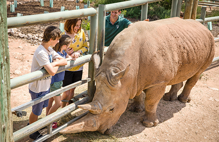 莫納托野生動物園犀牛互動體驗（含門票）