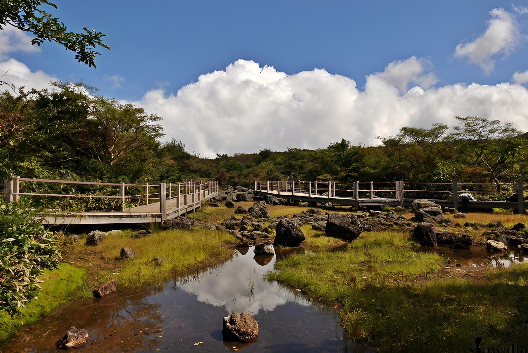 Hallasan 1100m high, wetlands
