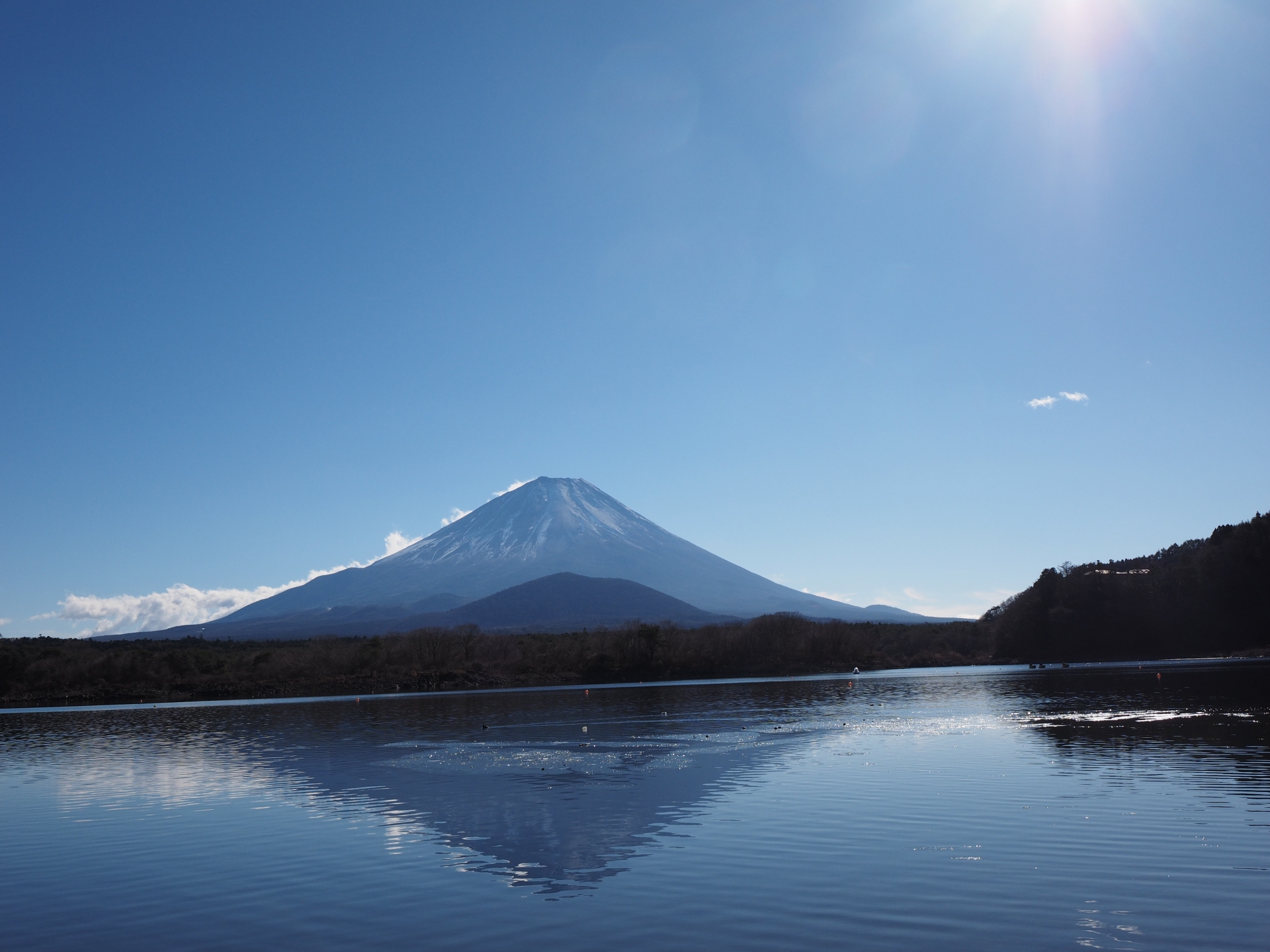高級版富士山河口湖絕景一日遊！坐豪華巴士巡遊多個拍攝點，從不同角度欣賞令人震撼的富士山美景！包含神戶牛涮涮鍋（品川/新宿出發）