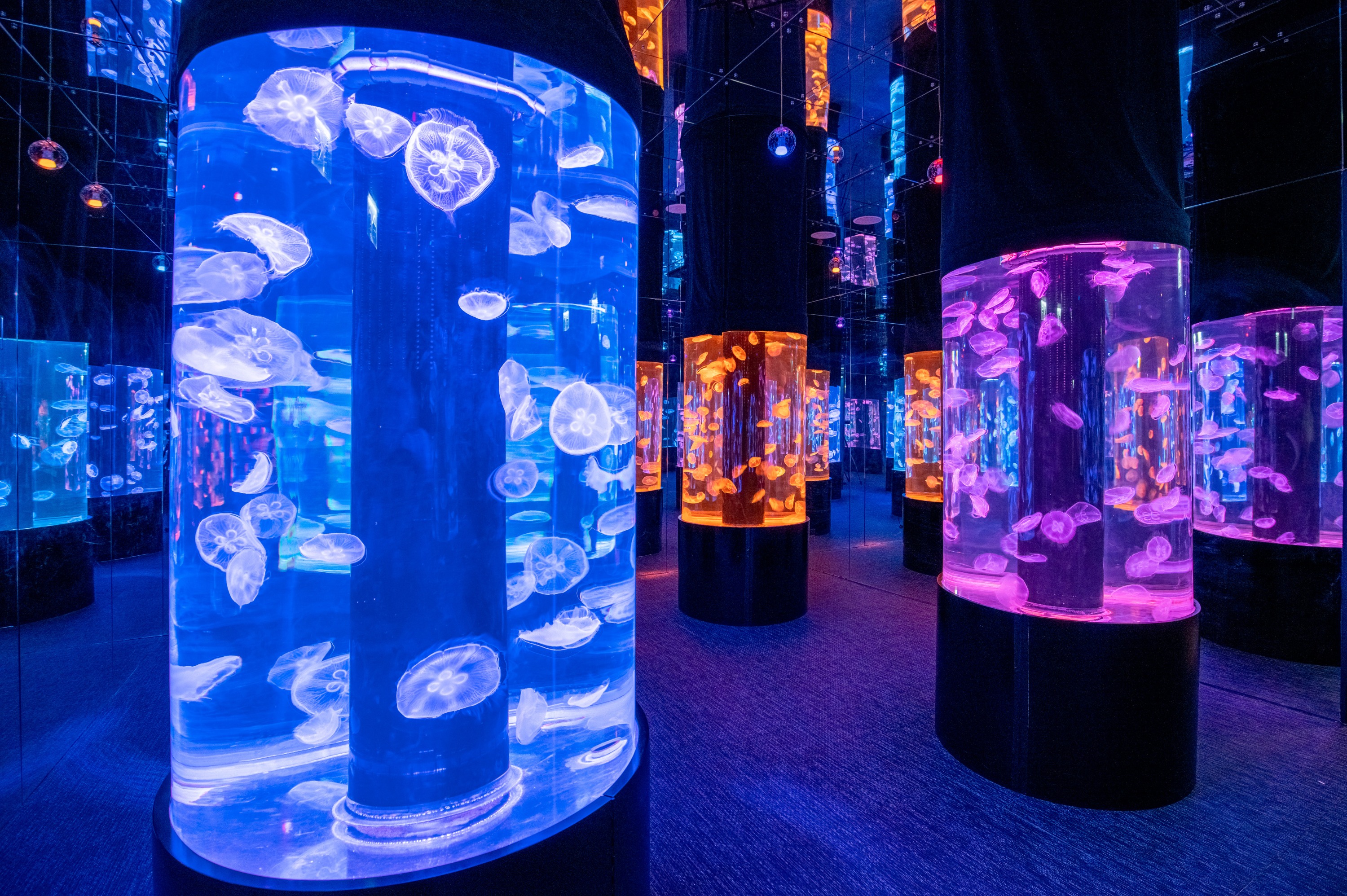 【獨家優惠】香港浩海立方探游館｜親子好去處
